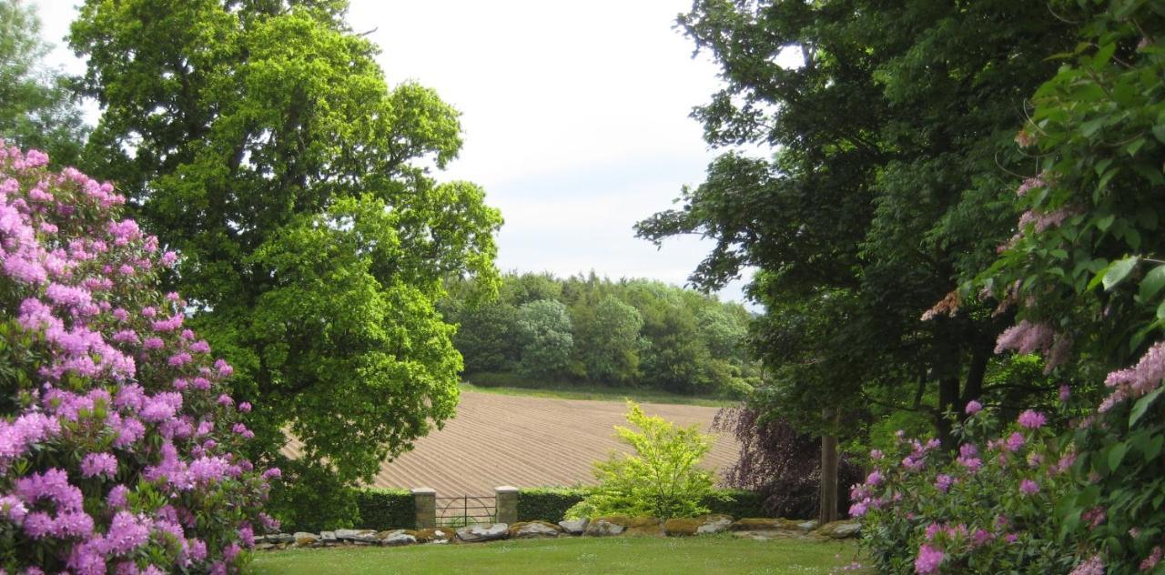 דאונפטריק Ballydugan Country House מראה חיצוני תמונה